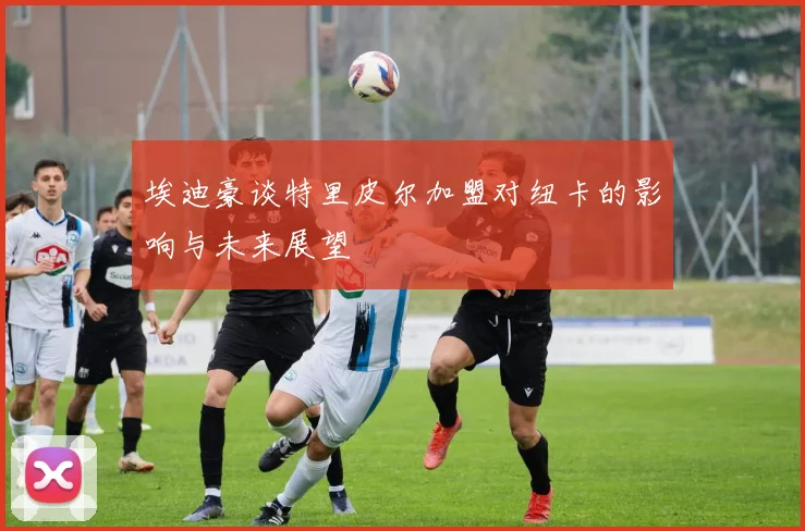 埃迪豪谈特里皮尔加盟对纽卡的影响与未来展望