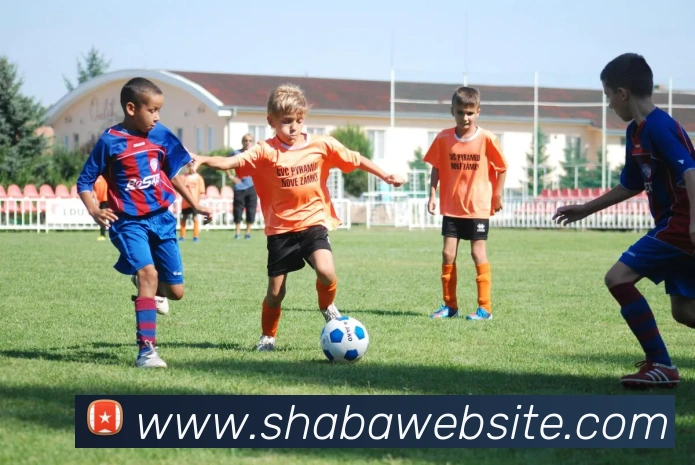 多媒体互动体验